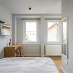 شقة Cute In