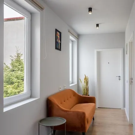 Cute In * בוקרשט